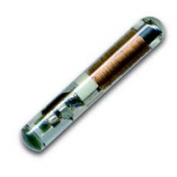 Transponder Ford Punto Azul T7 / TP06